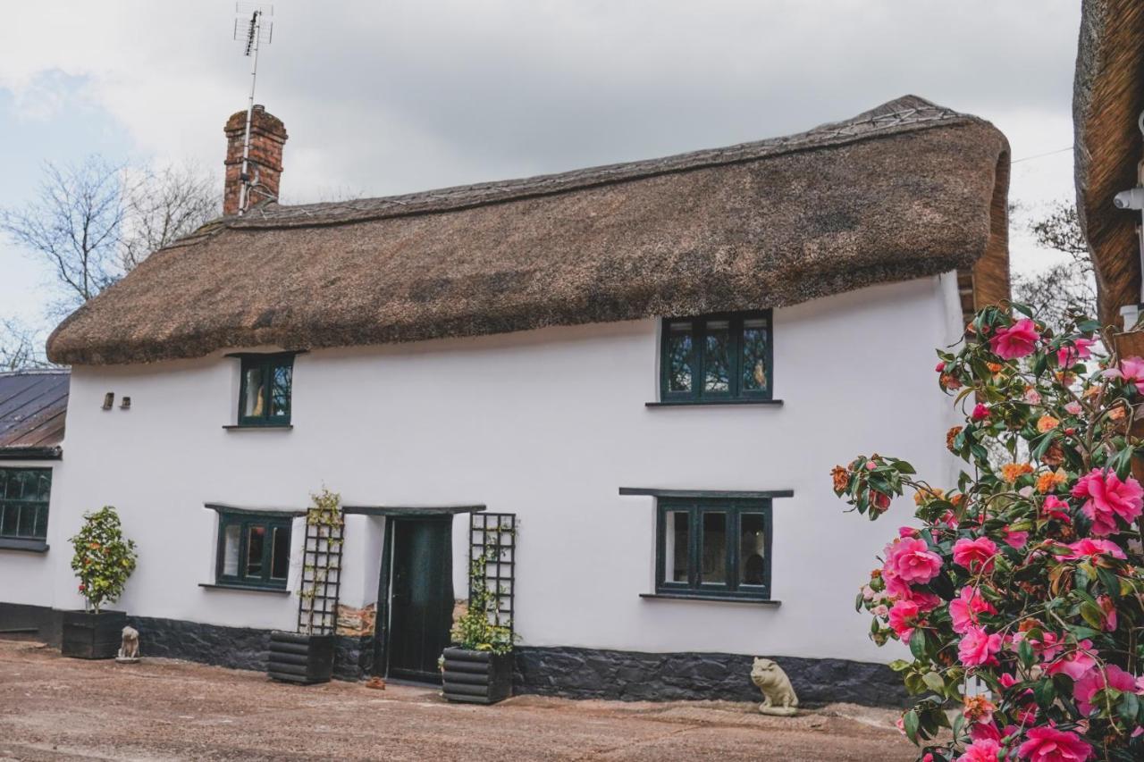 'The Cottage' โอ๊คแฮมป์ตัน ภายนอก รูปภาพ
