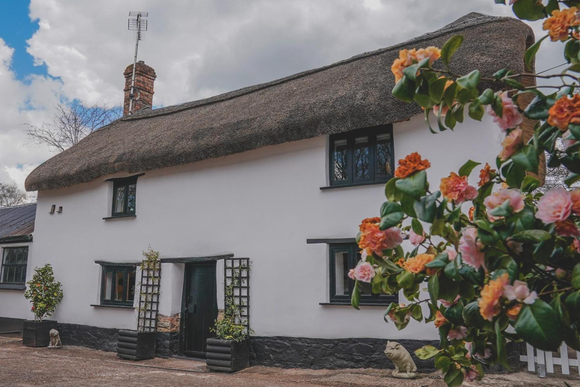'The Cottage' โอ๊คแฮมป์ตัน ภายนอก รูปภาพ
